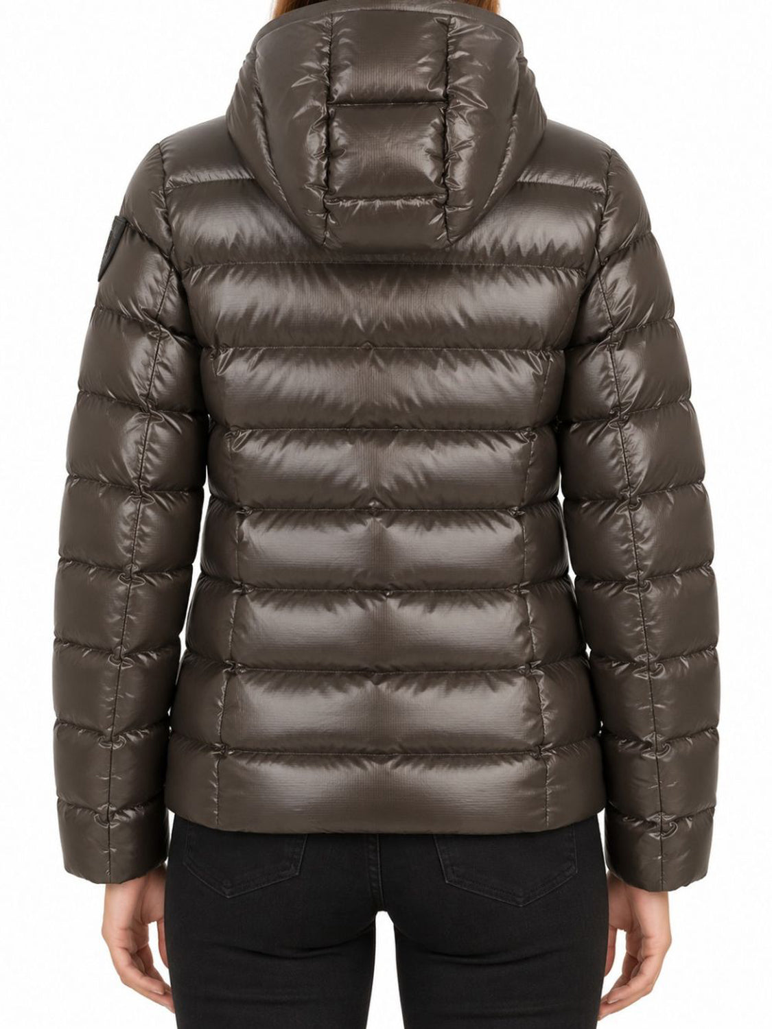 Blauer Piumino Uomo Adams Marrone