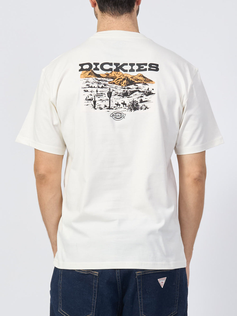 Dickies