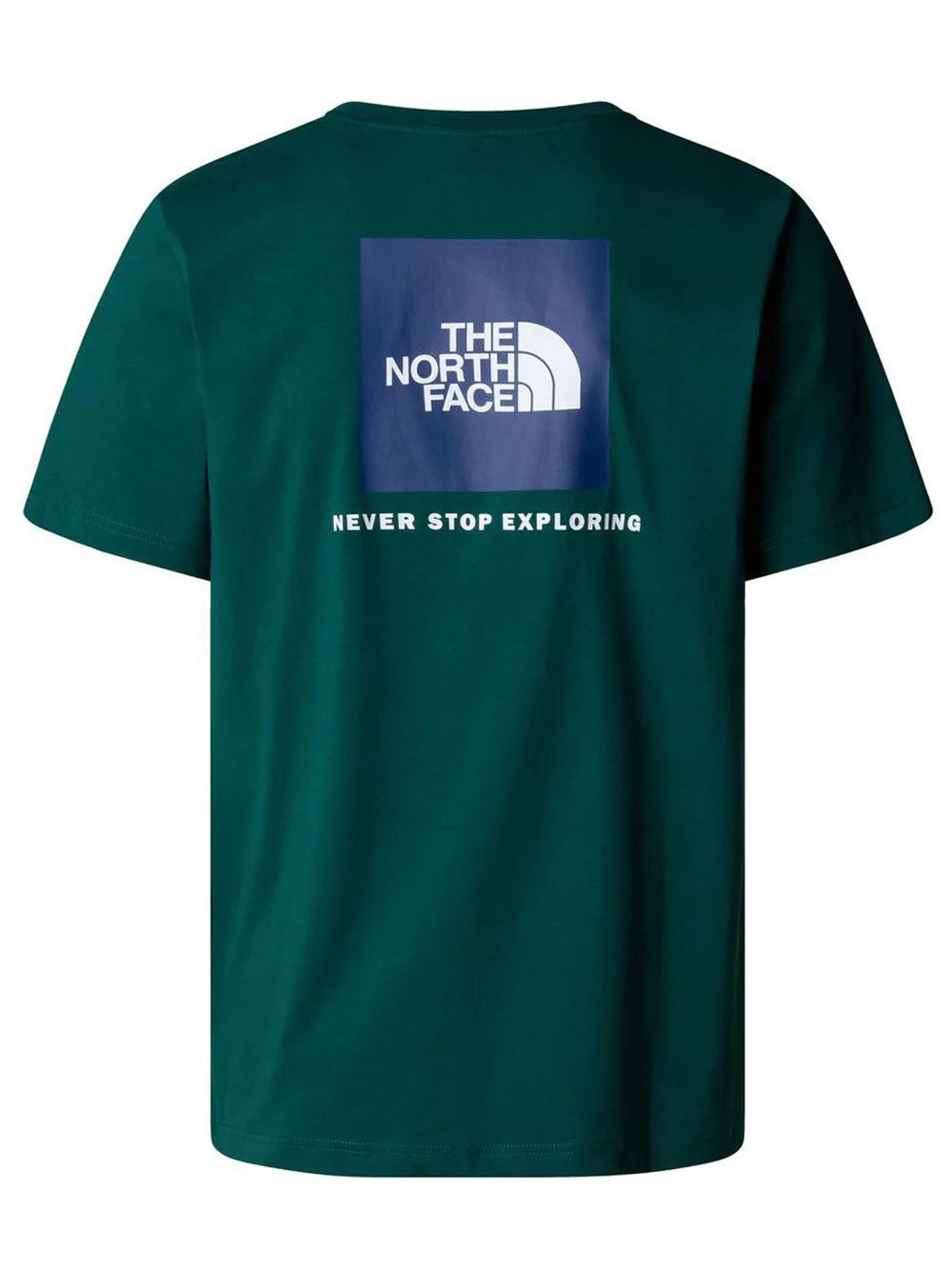 The North Face T-shirt Uomo NF0A87NP Verde