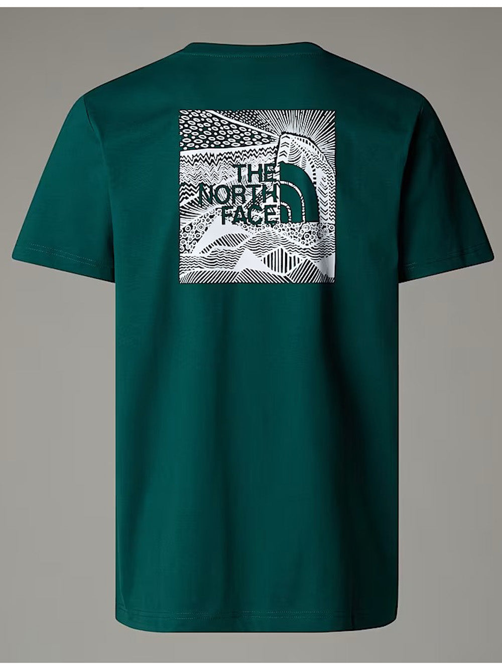 The North Face T-shirt Uomo NF0A87NV Verde