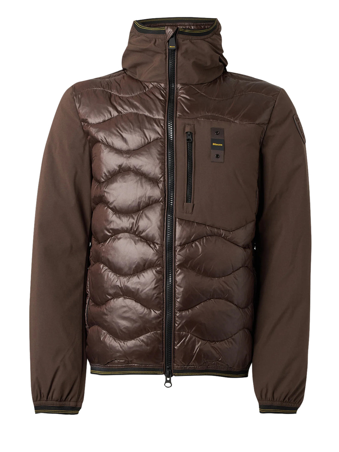Blauer Piumino Uomo Albert Marrone
