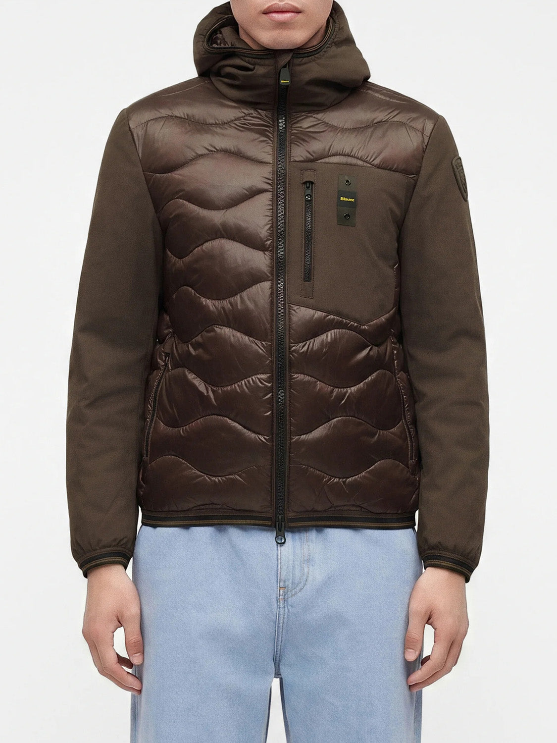 Blauer Piumino Uomo Albert Marrone