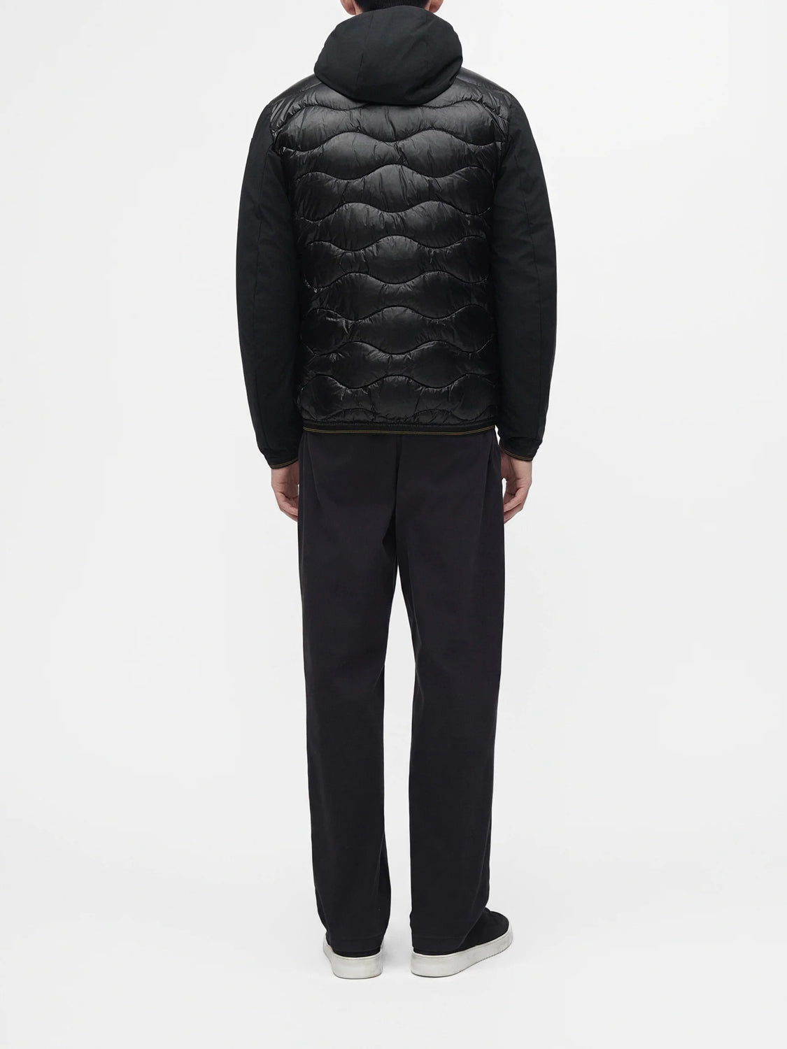 Blauer Piumino Uomo Albert Nero