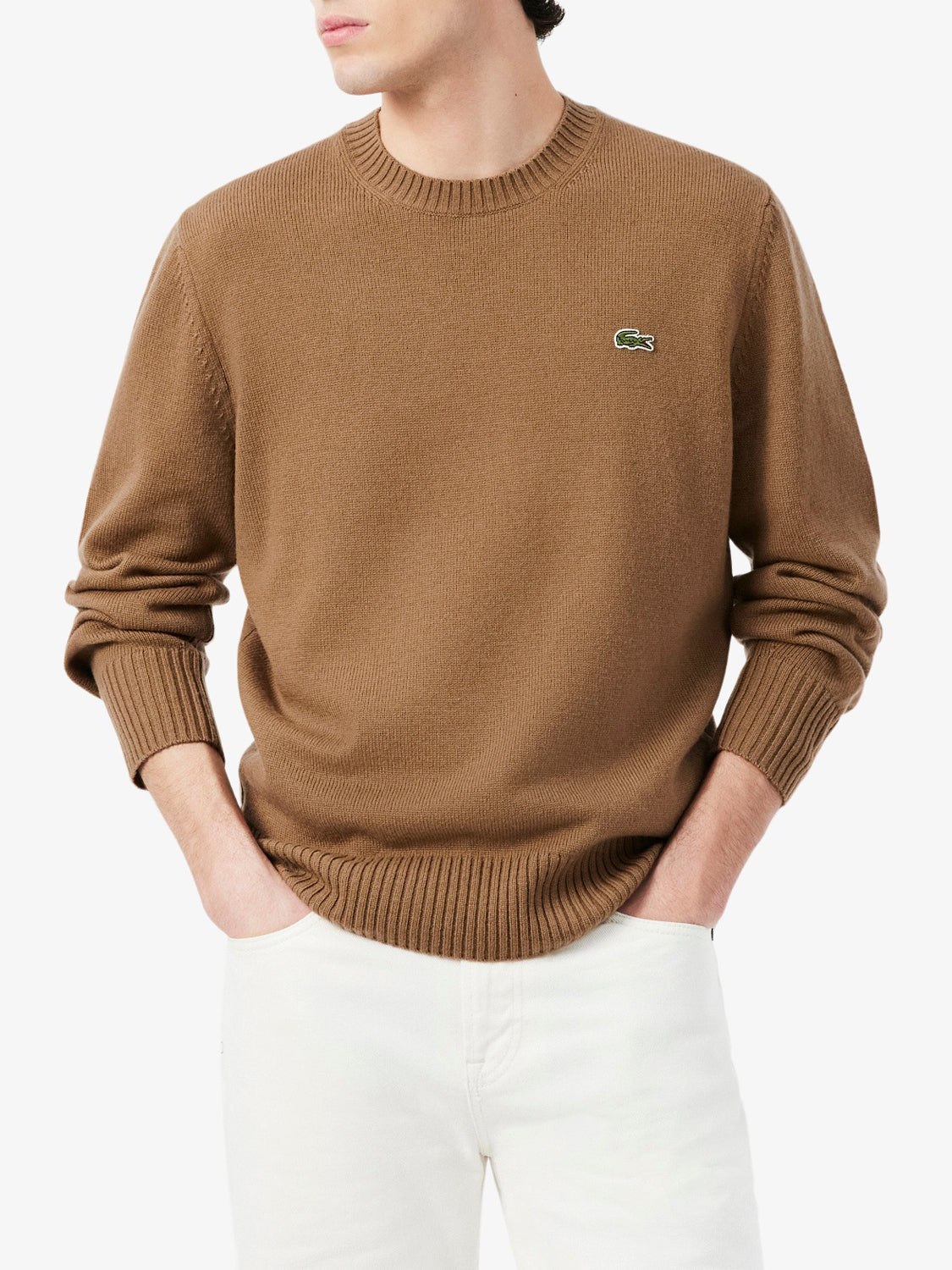 Lacoste Maglione Uomo Marrone