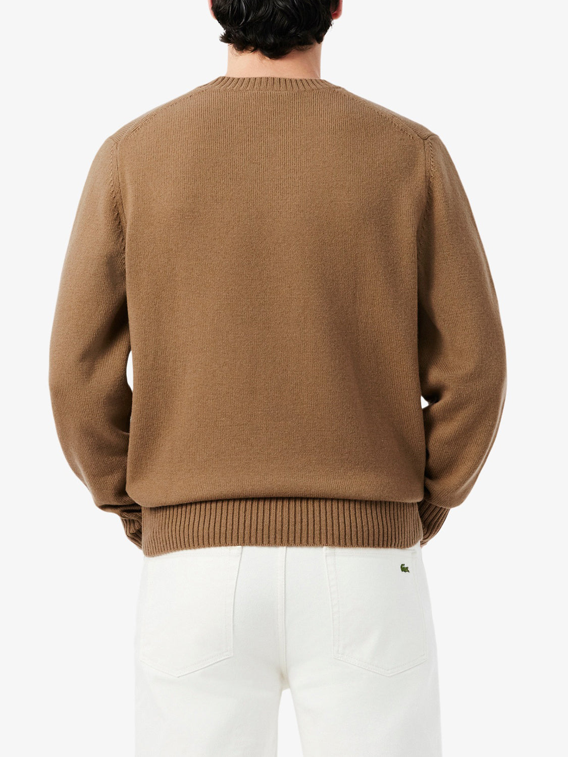 Lacoste Maglione Uomo Marrone
