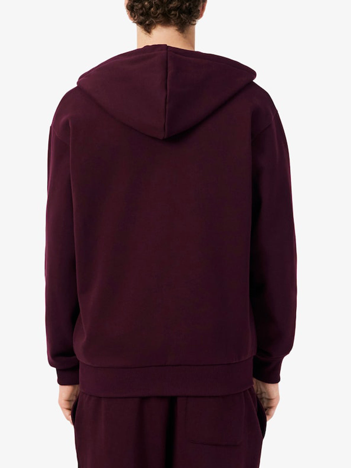 Lacoste Felpa con Zip Uomo Marrone scuro