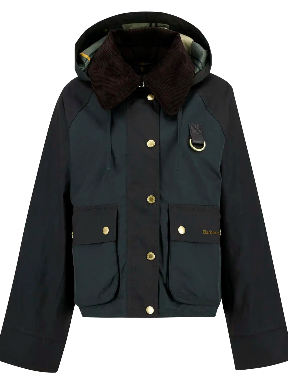 Giubbino Donna Reighton Verde