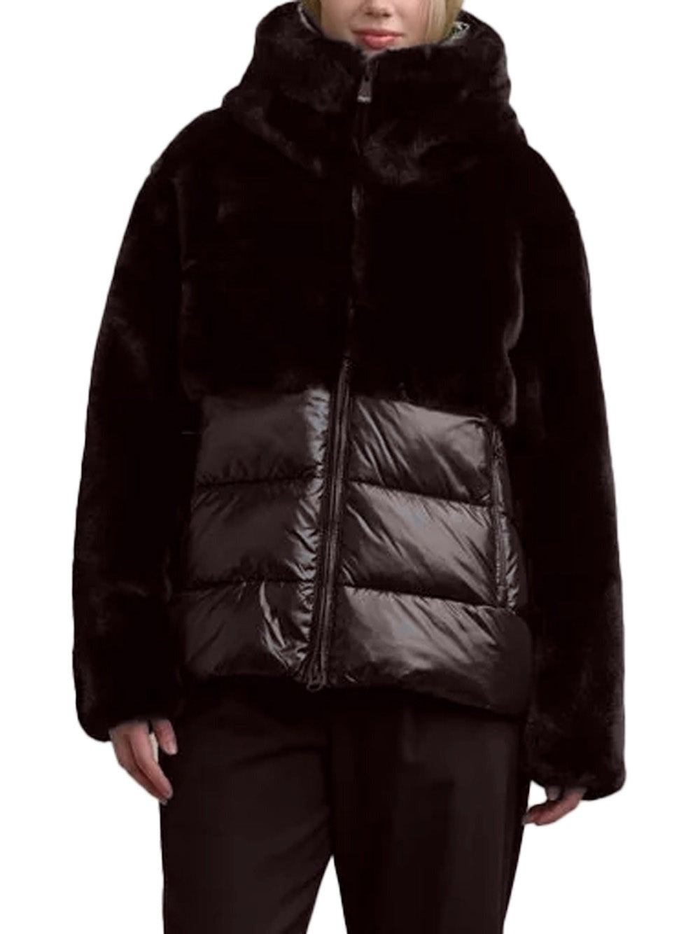 Blauer Giubbino Donna Fanevil Java Marrone