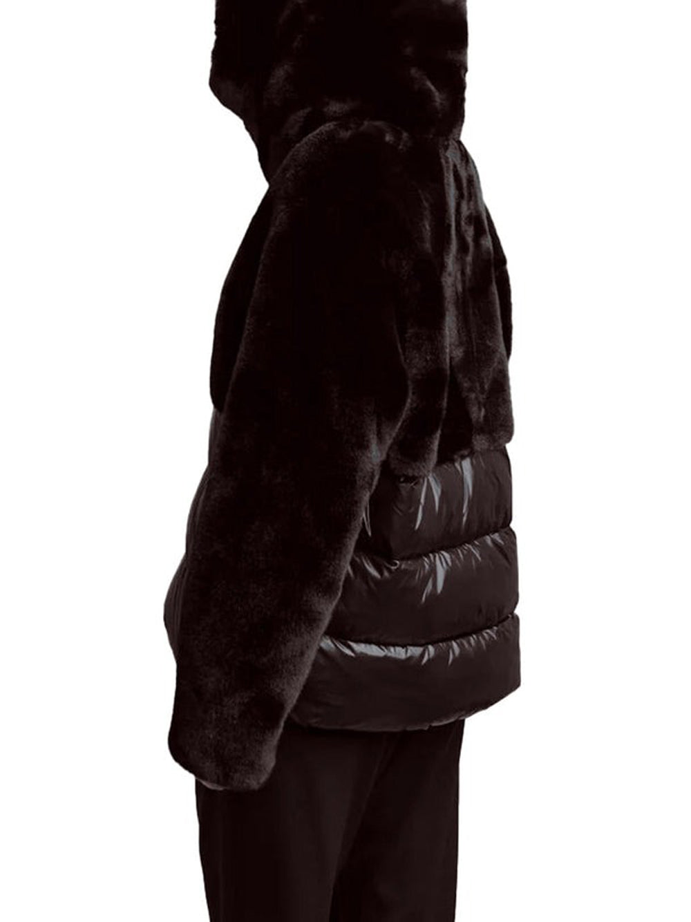 Blauer Giubbino Donna Fanevil Java Marrone