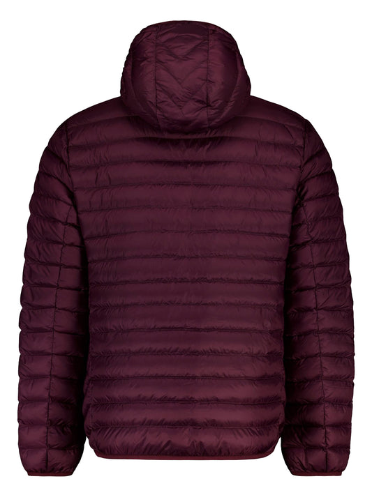 Ciesse Piumini Giubbino Uomo FRANKLIN 3.0 Mogano